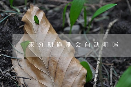 来分期逾期会自动扣吗 来分期逾期会自动扣吗