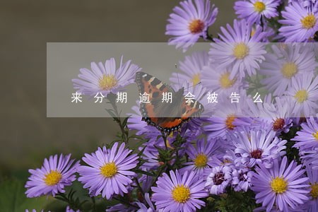 来分期逾期会被告么 来分期逾期会被告么