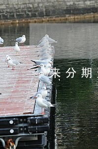 来分期逾期会跟父母联系吗
