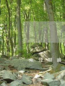 来分期逾期催收说来我家 来分期逾期催收说来我家