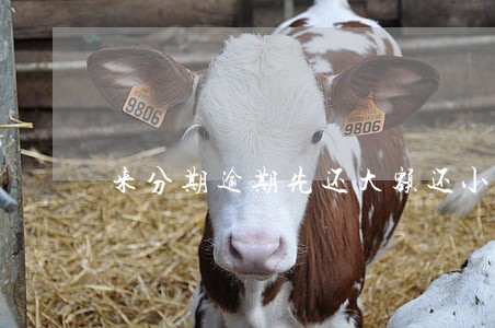 来分期逾期先还大额还小额
