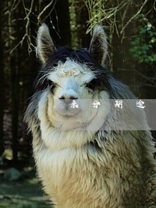 来分期逾期公安上门 来分期逾期公安上门