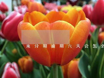来分期逾期六天会怎么样 来分期逾期六天会怎么样
