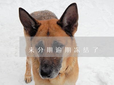 来分期逾期冻结了
