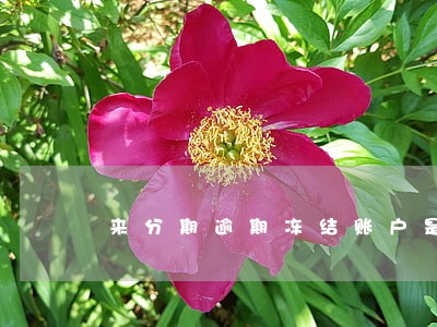 来分期逾期冻结账户是真的吗 来分期逾期冻结账户是真的吗