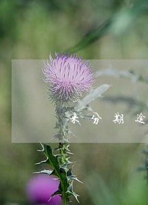 来分期逾期减免违约金