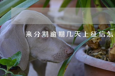 来分期逾期几天上征信怎么消除 来分期逾期几天上征信怎么消除