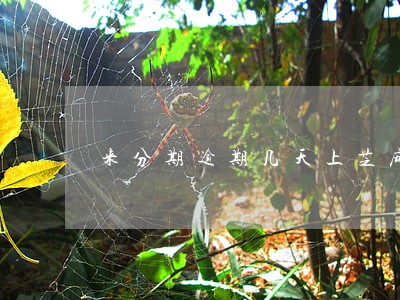 来分期逾期几天上芝麻 来分期逾期几天上芝麻