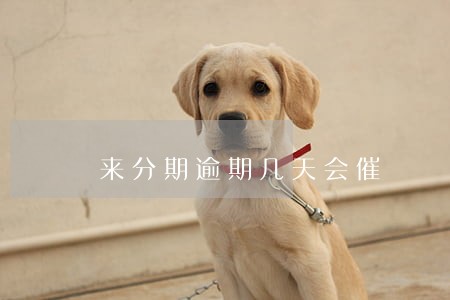 来分期逾期几天会催 来分期逾期几天会催