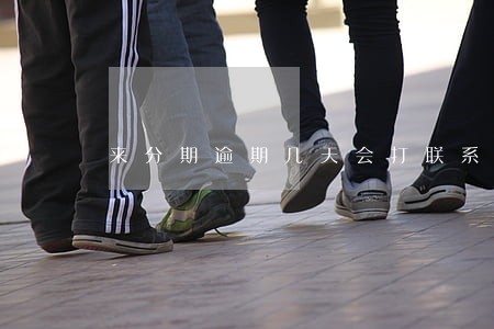 来分期逾期几天会打联系人 来分期逾期几天会打联系人
