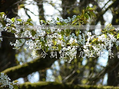 来分期逾期几天联系家人 来分期逾期几天联系家人