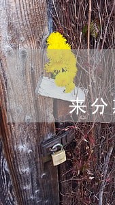 来分期逾期几天还能用吗 来分期逾期几天还能用吗