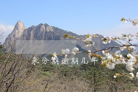 来分期逾期几年罚息太多能协商吗