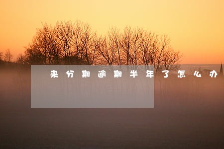 来分期逾期半年了怎么办 来分期逾期半年了怎么办