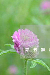 来分期逾期半年了都没上征信 来分期逾期半年了都没上征信