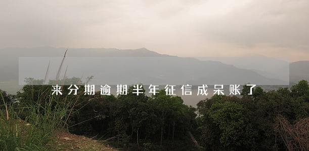 来分期逾期半年征信成呆账了 来分期逾期半年征信成呆账了
