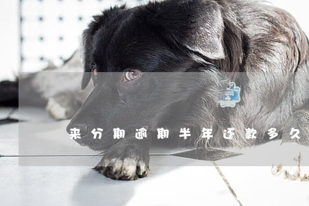 来分期逾期半年还款多久可以再借 来分期逾期半年还款多久可以再借