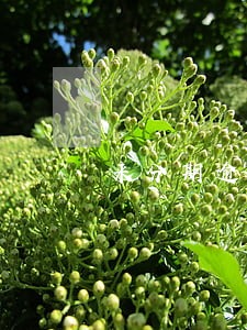 来分期逾期发信息警告 来分期逾期发信息警告