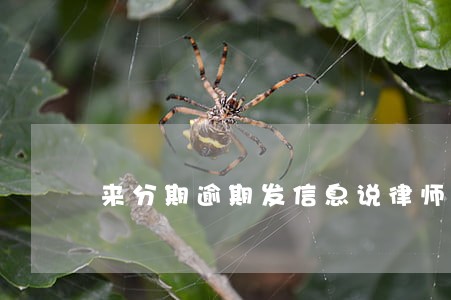 来分期逾期发信息说律师上门 来分期逾期发信息说律师上门
