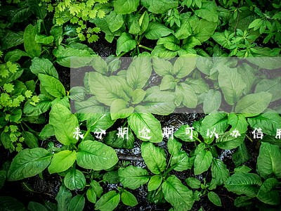 来分期逾期可以办信用卡吗 来分期逾期可以办信用卡吗