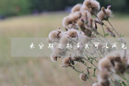 来分期逾期多久可以减免 来分期逾期多久可以减免