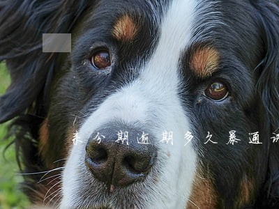 来分期逾期多久暴通讯录 来分期逾期多久暴通讯录