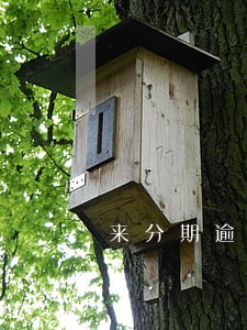 来分期逾期多久有影响吗 来分期逾期多久有影响吗