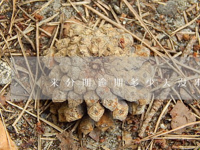 来分期逾期多少天没事 来分期逾期多少天没事