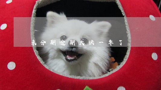 来分期逾期大快一年了