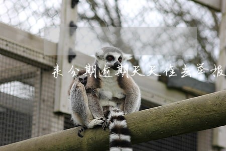 来分期逾期天天催去举报有用吗 来分期逾期天天催去举报有用吗