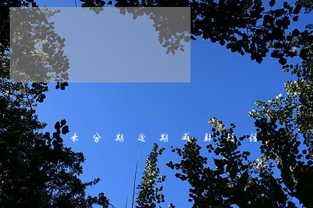 来分期逾期威胁短信