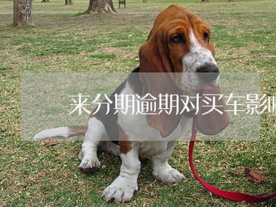 来分期逾期对买车影响吗 来分期逾期对买车影响吗