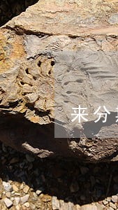 来分期逾期就不能借了 来分期逾期就不能借了