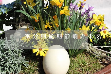 来分期逾期影响办卡么 来分期逾期影响办卡么