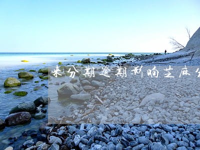 来分期逾期影响芝麻分 来分期逾期影响芝麻分