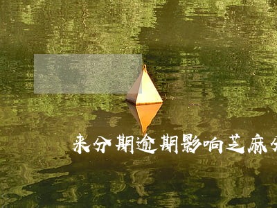 来分期逾期影响芝麻分吗 来分期逾期影响芝麻分吗