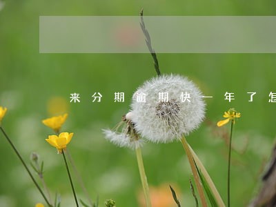 来分期逾期快一年了怎么办 来分期逾期快一年了怎么办