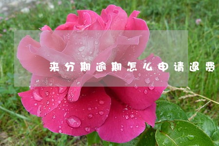 来分期逾期怎么申请退费 来分期逾期怎么申请退费