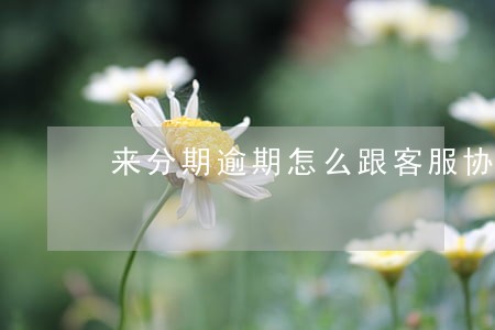 来分期逾期怎么跟客服协商减免 来分期逾期怎么跟客服协商减免