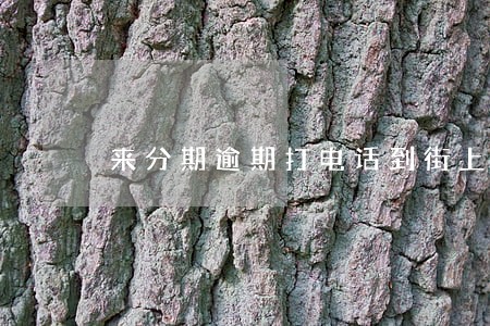 来分期逾期打电话到街上 来分期逾期打电话到街上