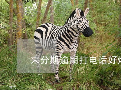 来分期逾期打电话好烦 来分期逾期打电话好烦