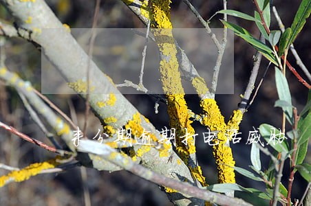 来分期逾期打电话威胁 来分期逾期打电话威胁