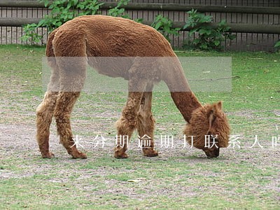 来分期逾期打联系人吗