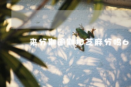 来分期逾期扣芝麻分吗6 来分期逾期扣芝麻分吗6