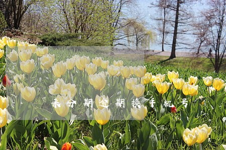 来分期逾期换手机号 来分期逾期换手机号