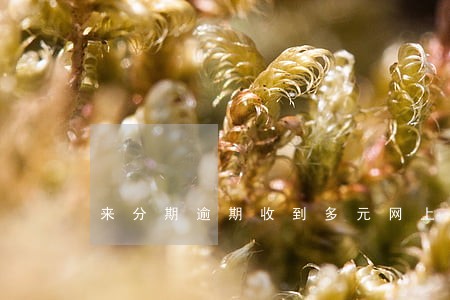 来分期逾期收到多元网上调解短信 来分期逾期收到多元网上调解短信