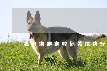 来分期逾期收到失信执行 来分期逾期收到失信执行