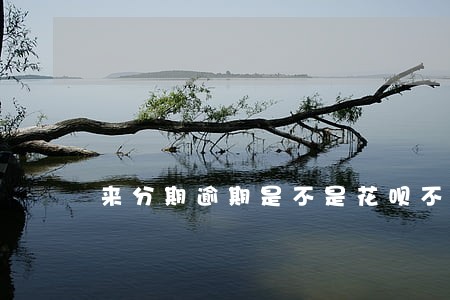 来分期逾期是不是花呗不能用 来分期逾期是不是花呗不能用
