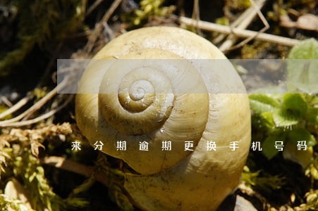 来分期逾期更换手机号码 来分期逾期更换手机号码