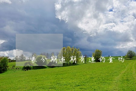 来分期逾期有违约金吗 来分期逾期有违约金吗